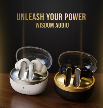 Wisdom Air Pro Wireless Earbuds