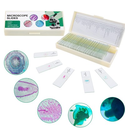 Microscope Slides | Glass & Plastic Slides for Laboratory & Educational Use